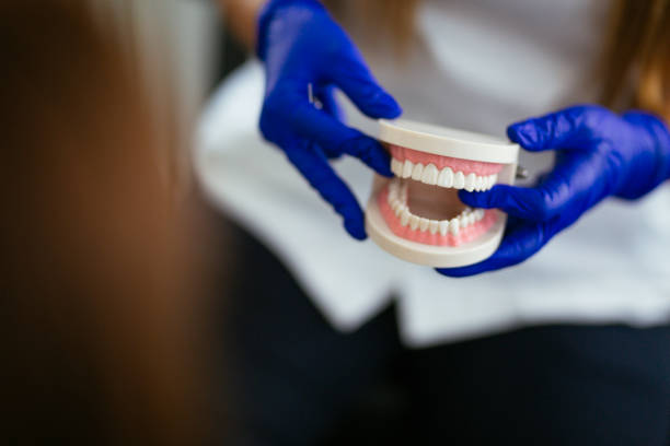 Trusted Mulberry, IN  Holistic Dental Services Experts